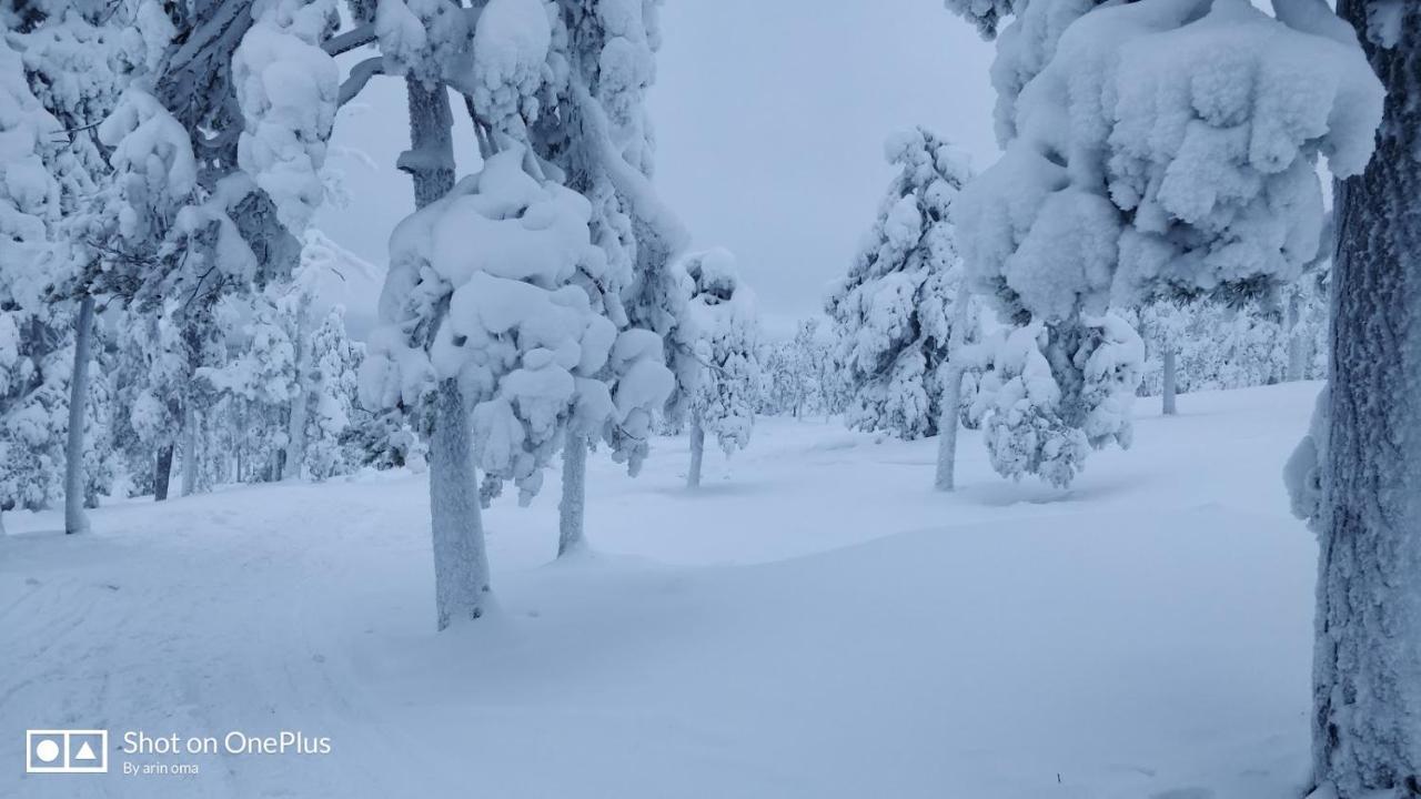 Apt 37 Rovaniemi Luaran gambar